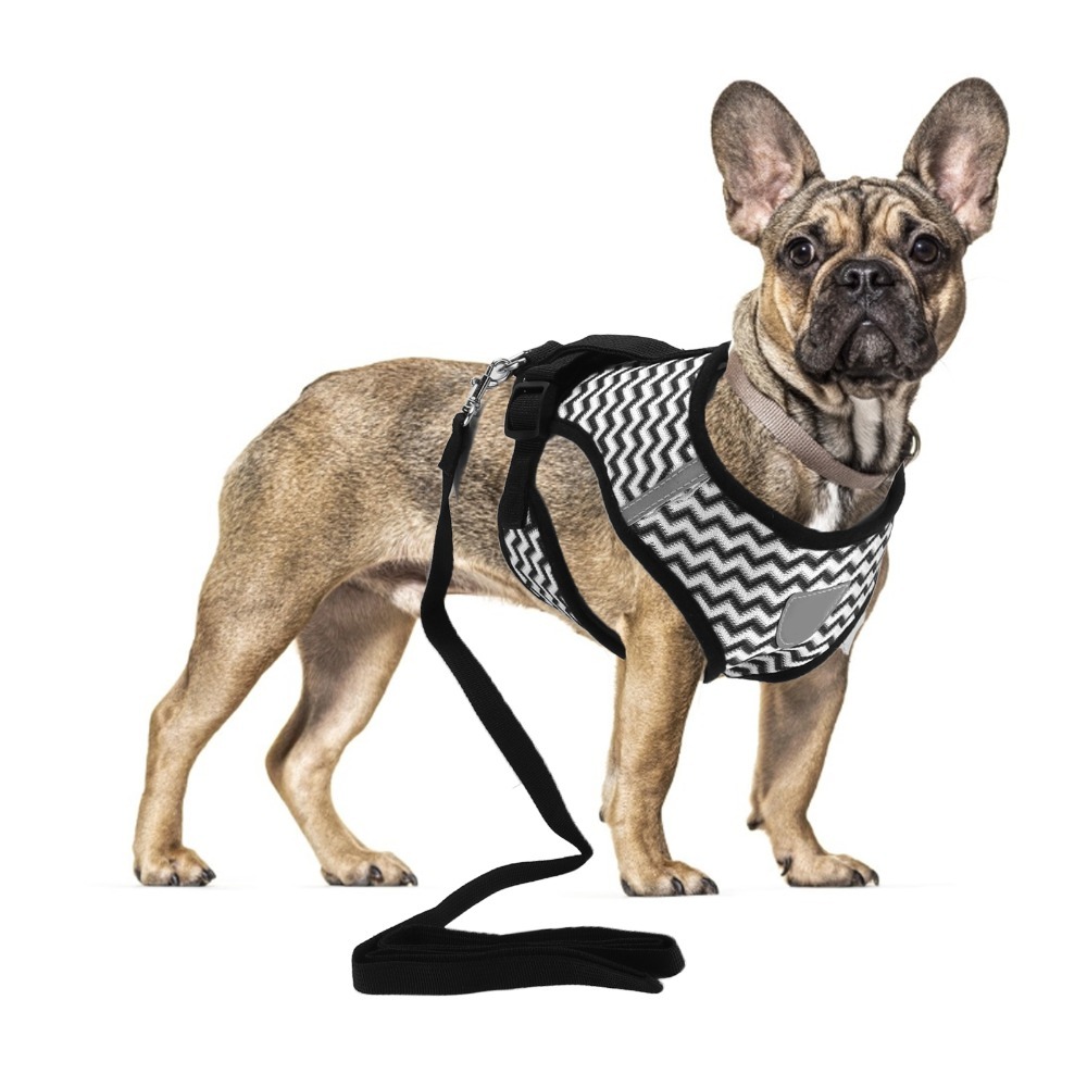 Fabric Weight Set - Conjunto de Arnés para Mascotas de